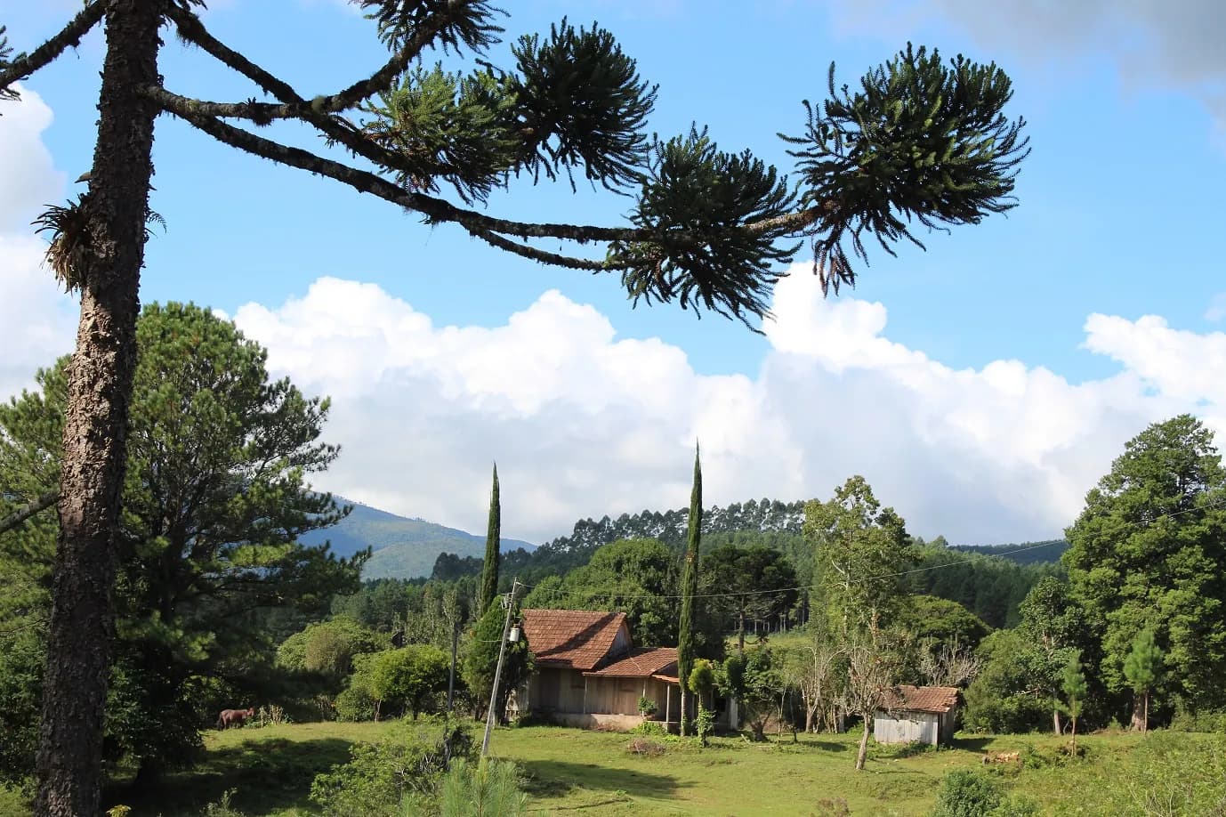 Extensas áreas verdes e potencial de valorização da terra
